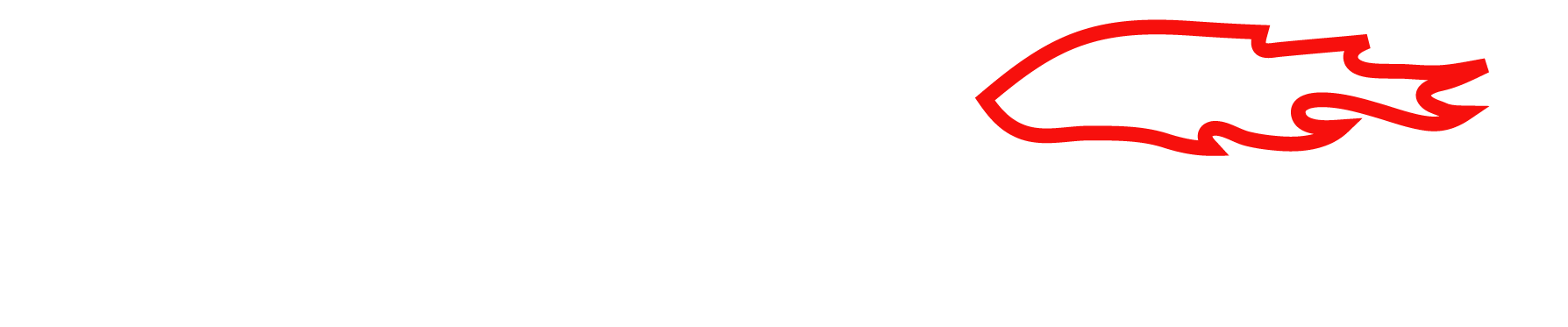 GB-Ganz